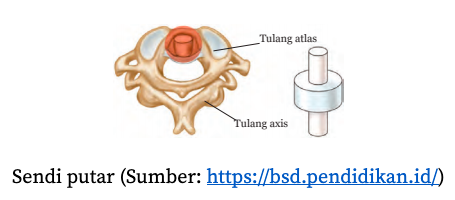 Detail Contoh Gambar Sendi Engsel Nomer 22