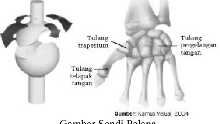 Detail Contoh Gambar Sendi Engsel Nomer 44