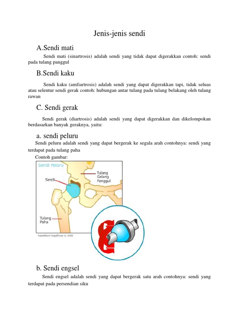 Detail Contoh Gambar Sendi Engsel Nomer 50