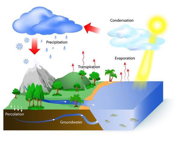 Detail Contoh Gambar Siklus Hidrologi Nomer 20