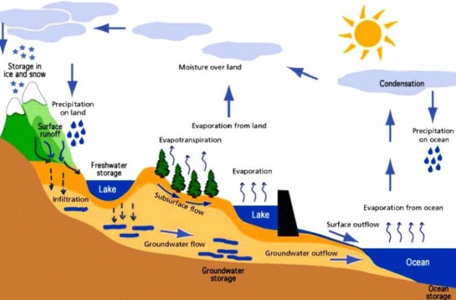 Detail Contoh Gambar Siklus Hidrologi Nomer 26