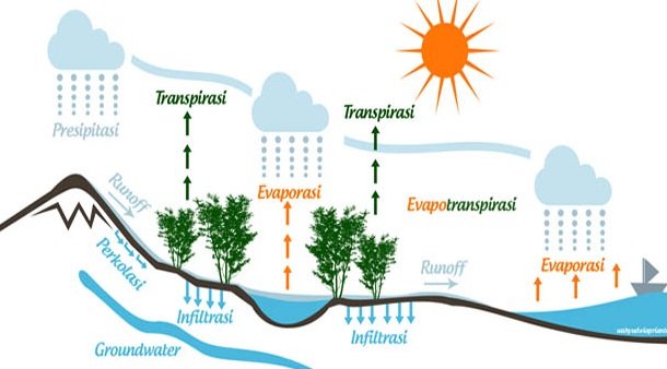 Detail Contoh Gambar Siklus Hidrologi Nomer 28