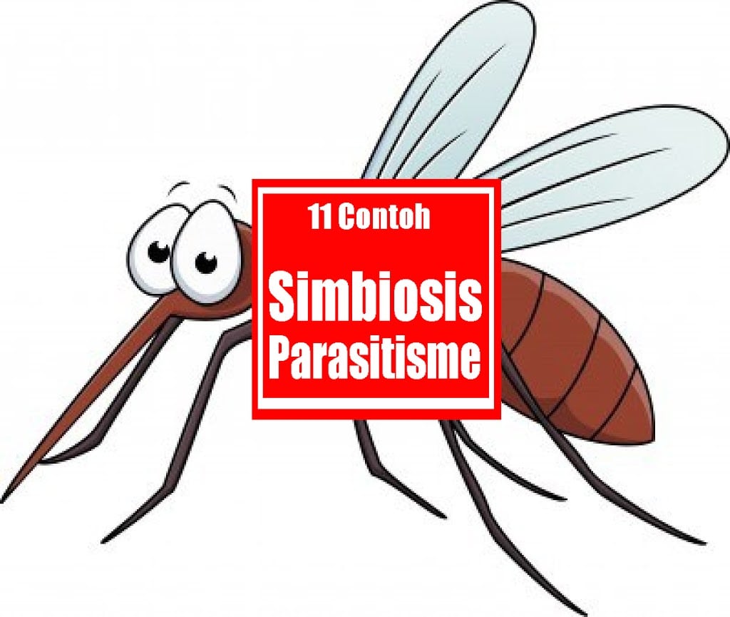 Detail Contoh Gambar Simbiosis Parasitisme Nomer 13