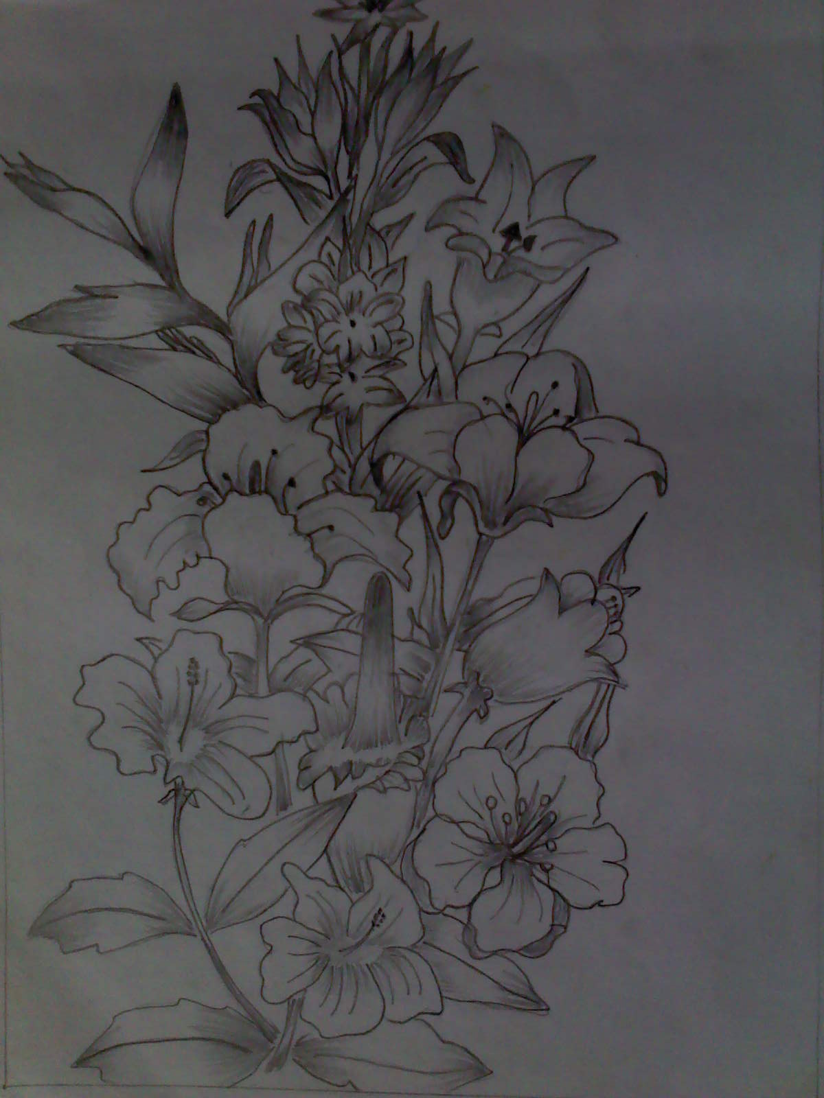Detail Contoh Gambar Sketsa Bunga Anggrek Nomer 51