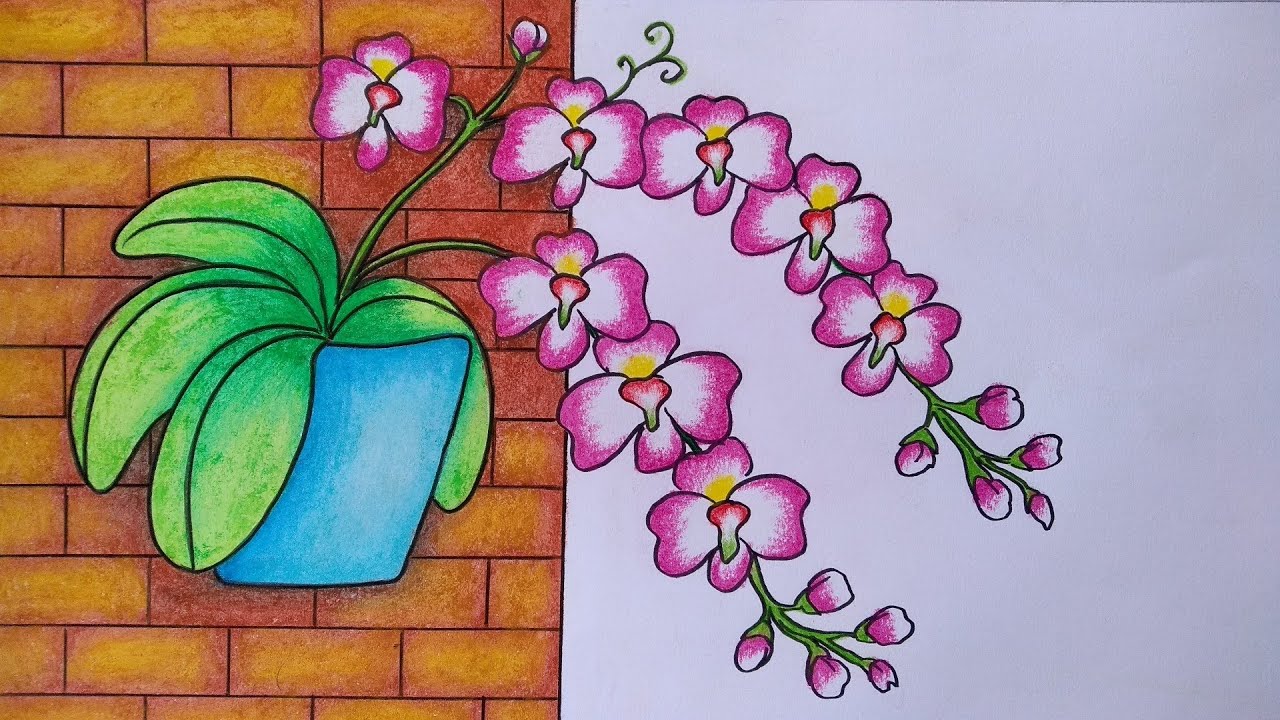 Detail Contoh Gambar Sketsa Bunga Anggrek Nomer 9