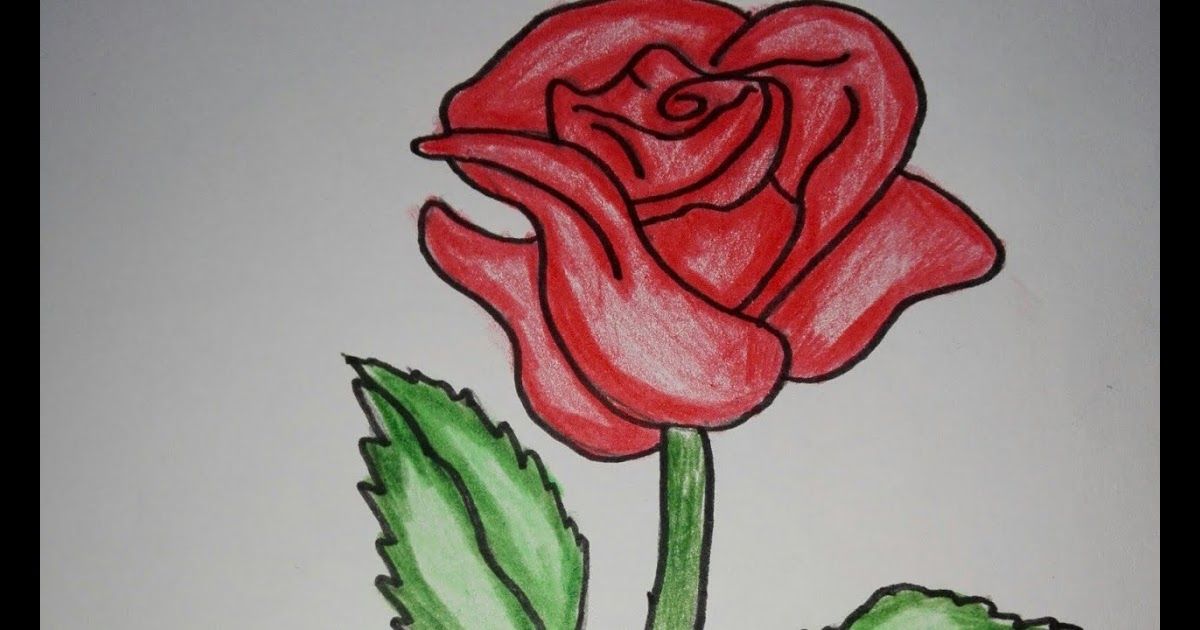 Detail Contoh Gambar Sketsa Bunga Mawar Berwarna Nomer 7