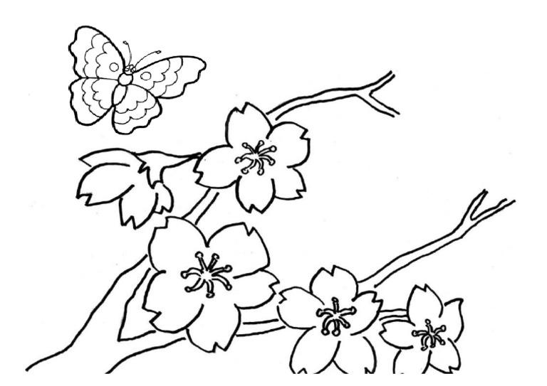 Detail Contoh Gambar Sketsa Bunga Melati Nomer 25
