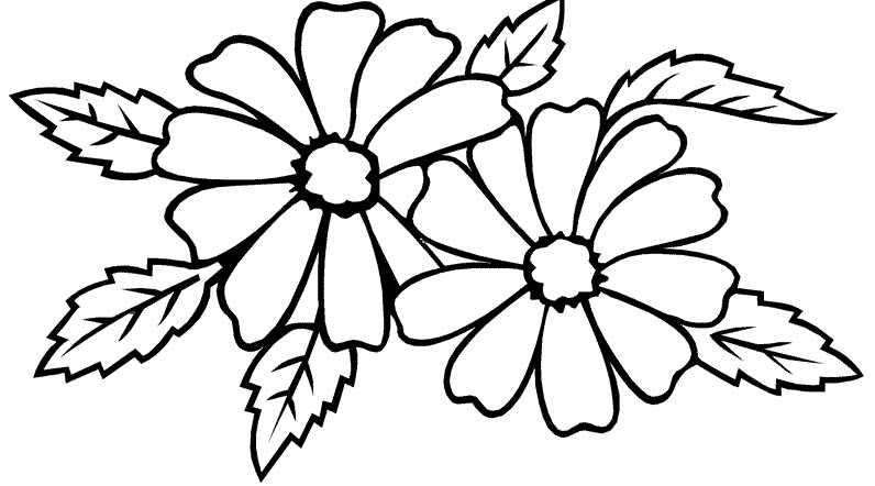 Detail Contoh Gambar Sketsa Bunga Melati Nomer 43