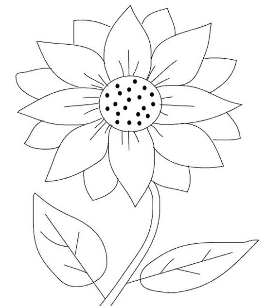 Detail Contoh Gambar Sketsa Bunga Melati Nomer 53