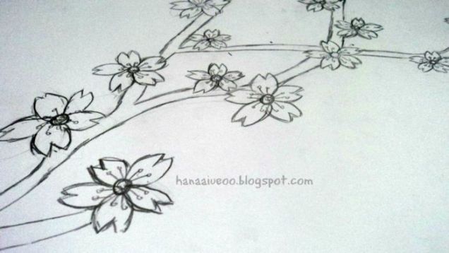 Detail Contoh Gambar Sketsa Bunga Sakura Nomer 18