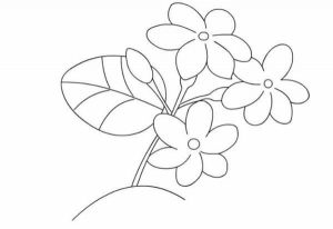 Detail Contoh Gambar Sketsa Bunga Sakura Nomer 35