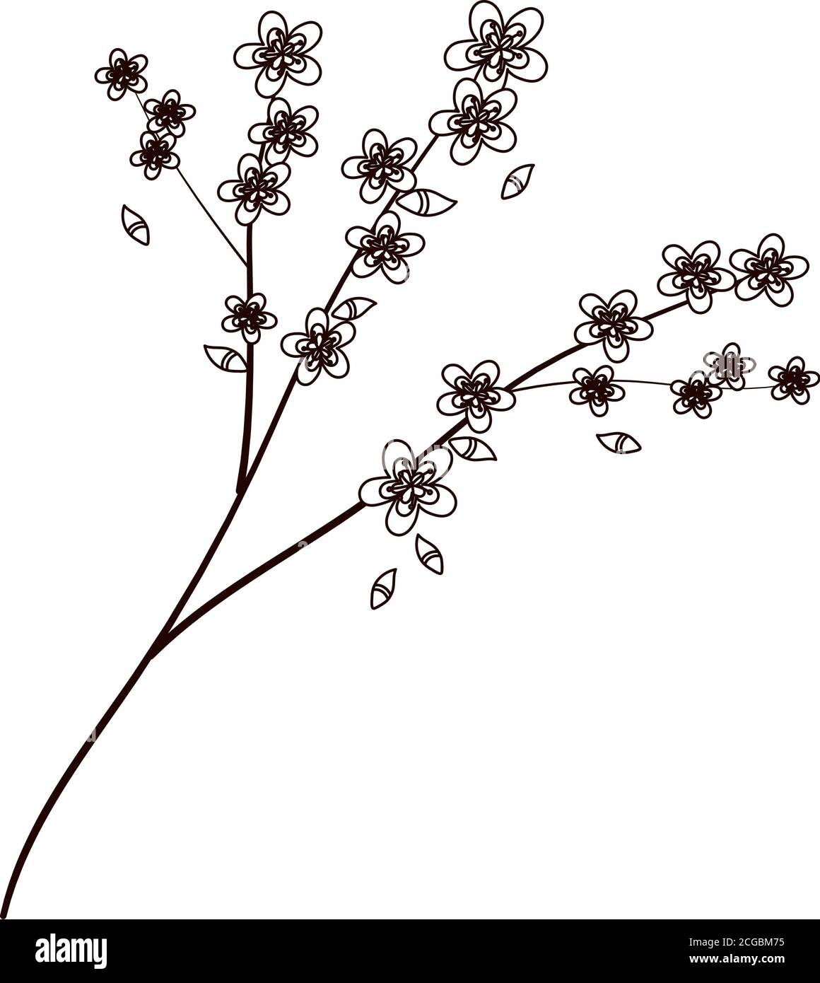 Detail Contoh Gambar Sketsa Bunga Sakura Nomer 55