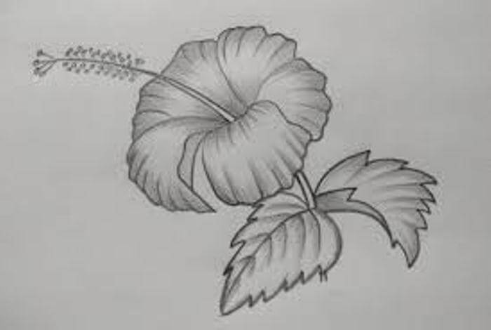 Detail Contoh Gambar Sketsa Bunga Simple Nomer 28