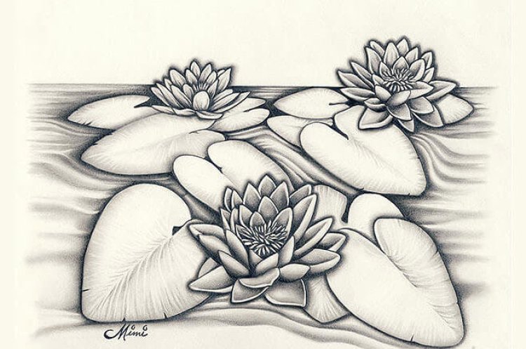 Detail Contoh Gambar Sketsa Bunga Yang Gampang Nomer 28