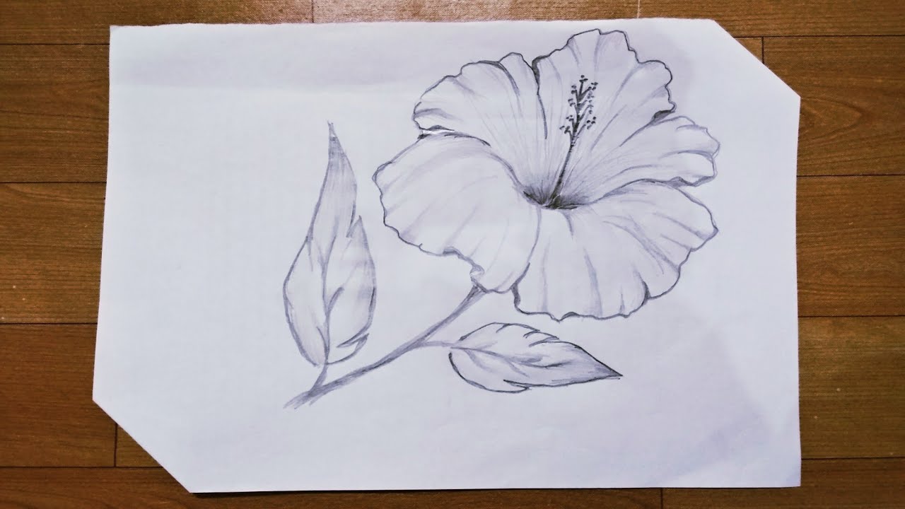 Detail Contoh Gambar Sketsa Bunga Yang Gampang Nomer 33