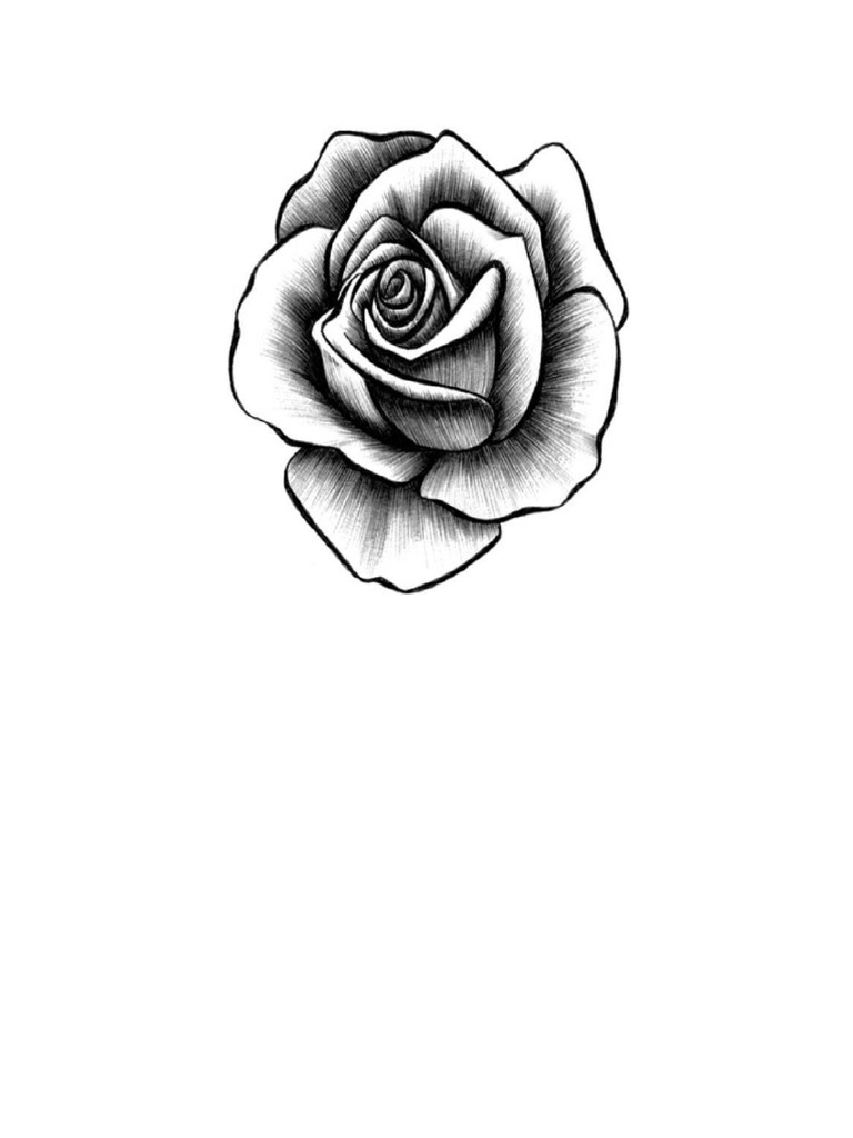 Detail Contoh Gambar Sketsa Bunga Yang Gampang Nomer 44
