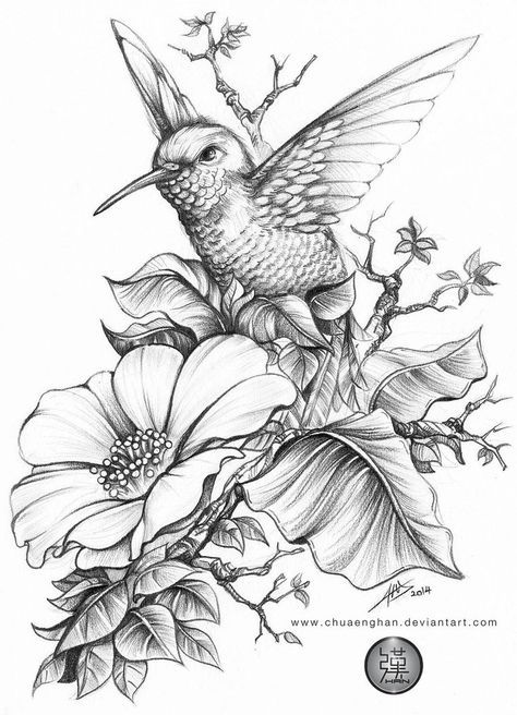 Detail Contoh Gambar Sketsa Flora Dan Fauna Nomer 38