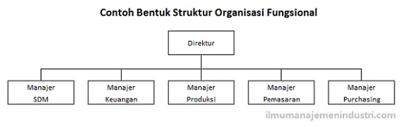 Detail Contoh Gambar Struktur Organisasi Nomer 29