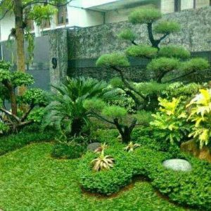 Detail Contoh Gambar Taman Kota Nomer 43