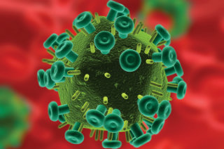 Contoh Gambar Virus - KibrisPDR