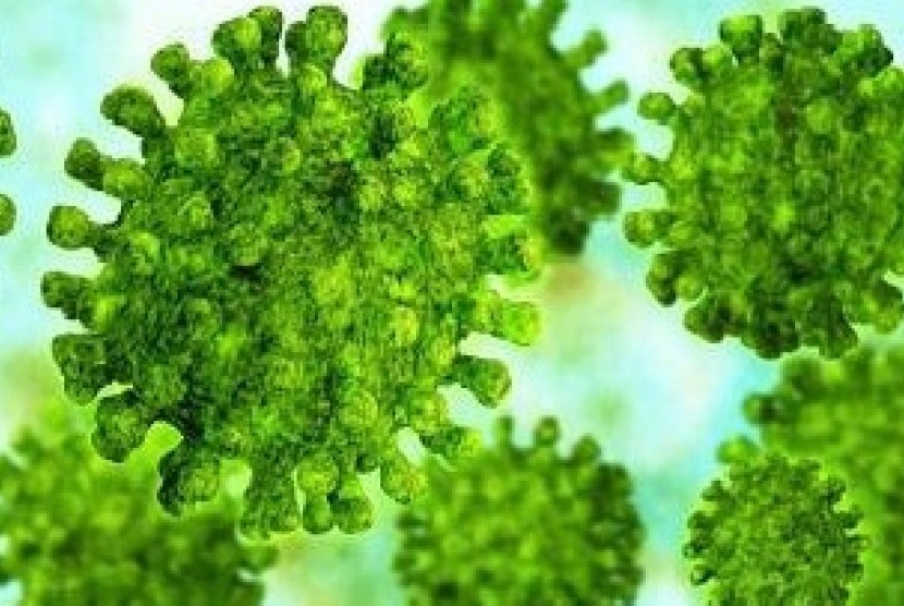 Detail Contoh Gambar Virus Nomer 37