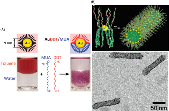 Detail Contoh Gambar Virus Nomer 40