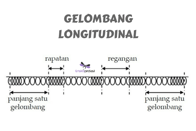 Contoh Gelombang Bunyi - 55+ Koleksi Gambar