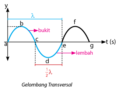 Detail Contoh Gelombang Transversal Nomer 2