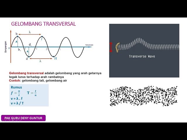 Detail Contoh Gelombang Transversal Nomer 15