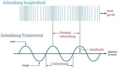 Detail Contoh Gelombang Transversal Nomer 23