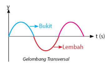 Detail Contoh Gelombang Transversal Nomer 5