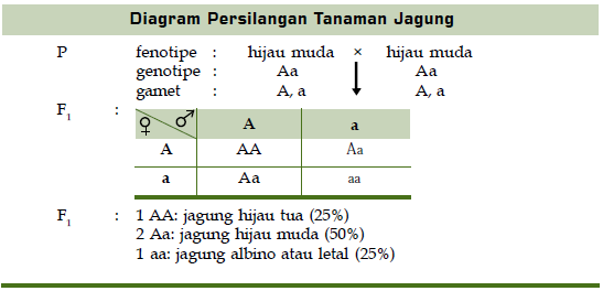 Contoh Gen Dominan - KibrisPDR