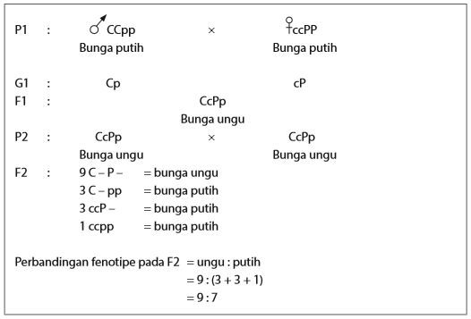 Detail Contoh Gen Dominan Nomer 12