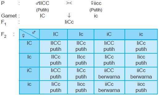 Detail Contoh Gen Dominan Nomer 5