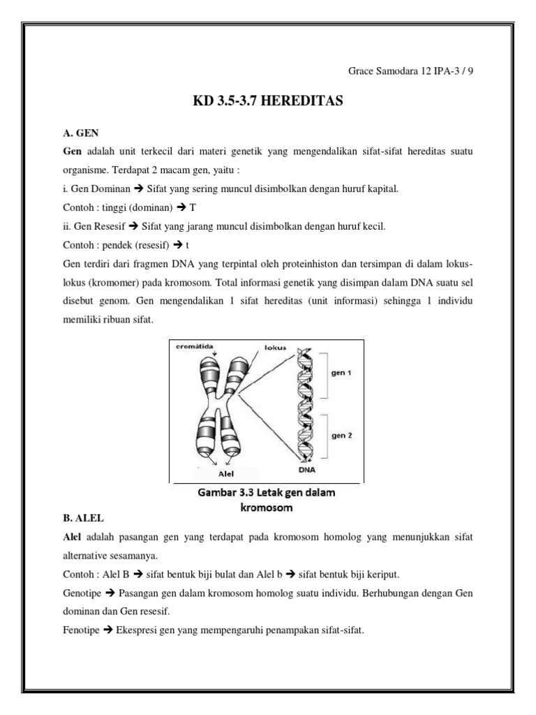 Detail Contoh Gen Dominan Nomer 43