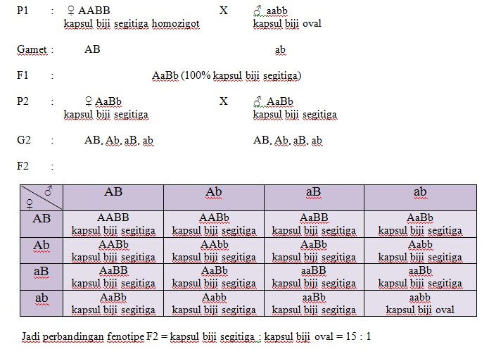 Detail Contoh Gen Dominan Nomer 48