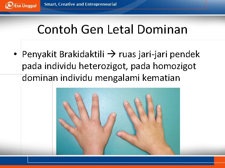 Detail Contoh Gen Dominan Nomer 50