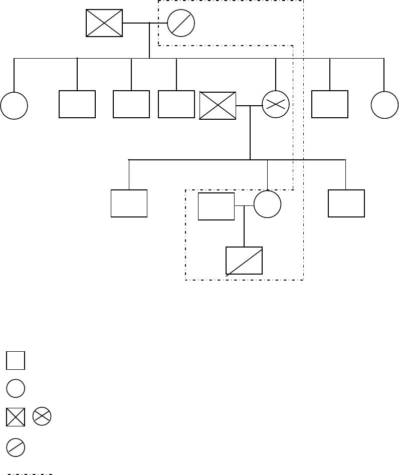 Detail Contoh Genogram Dan Keteranganya Nomer 17