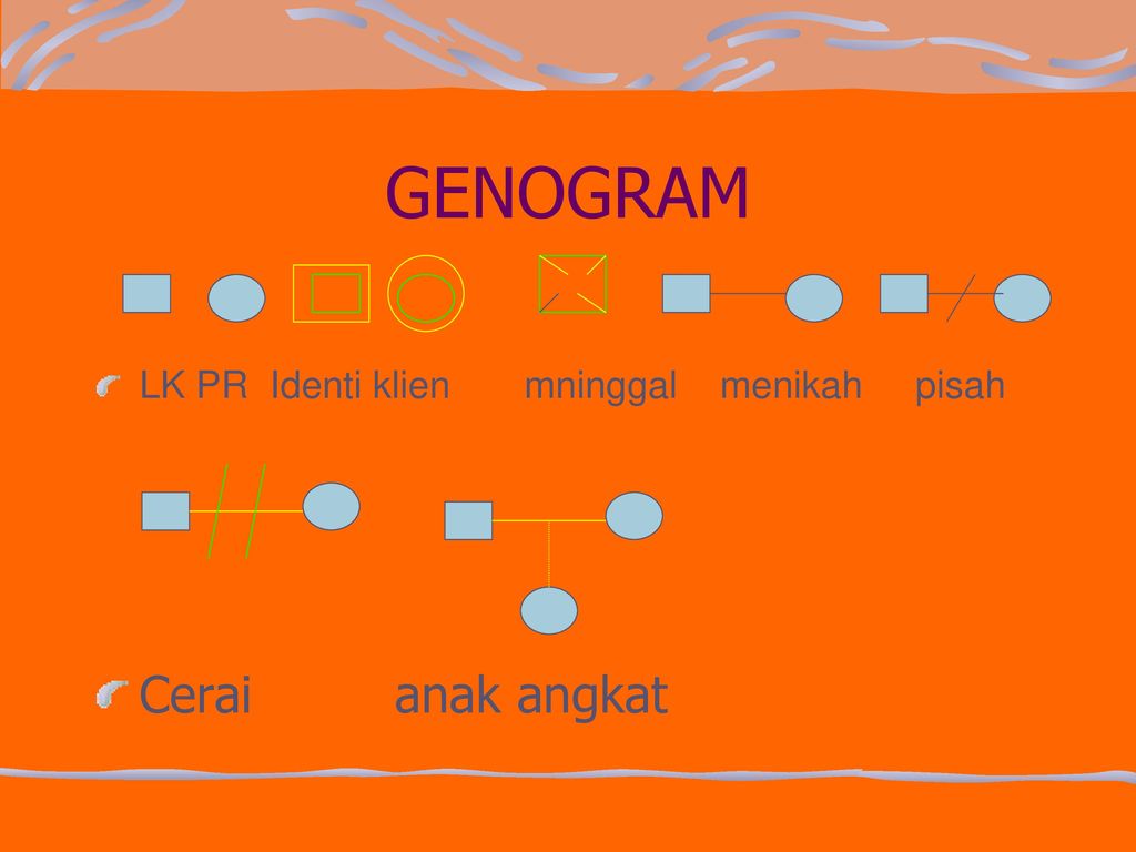 Detail Contoh Genogram Dan Keteranganya Nomer 21