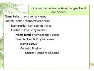 Detail Contoh Genus Dan Spesies Nomer 11