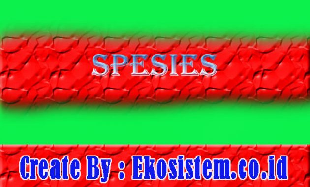 Detail Contoh Genus Dan Spesies Nomer 29