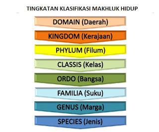 Detail Contoh Genus Dan Spesies Nomer 34