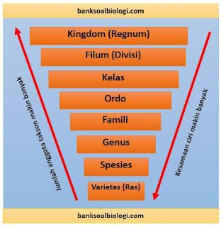 Detail Contoh Genus Dan Spesies Nomer 39