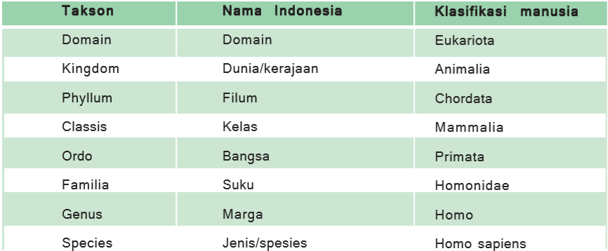 Detail Contoh Genus Dan Spesies Nomer 54