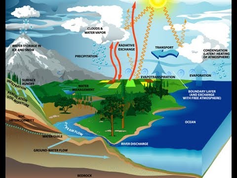 Detail Contoh Geografi Regional Nomer 15