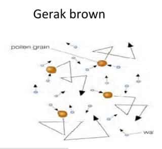 Detail Contoh Gerak Brown Nomer 12