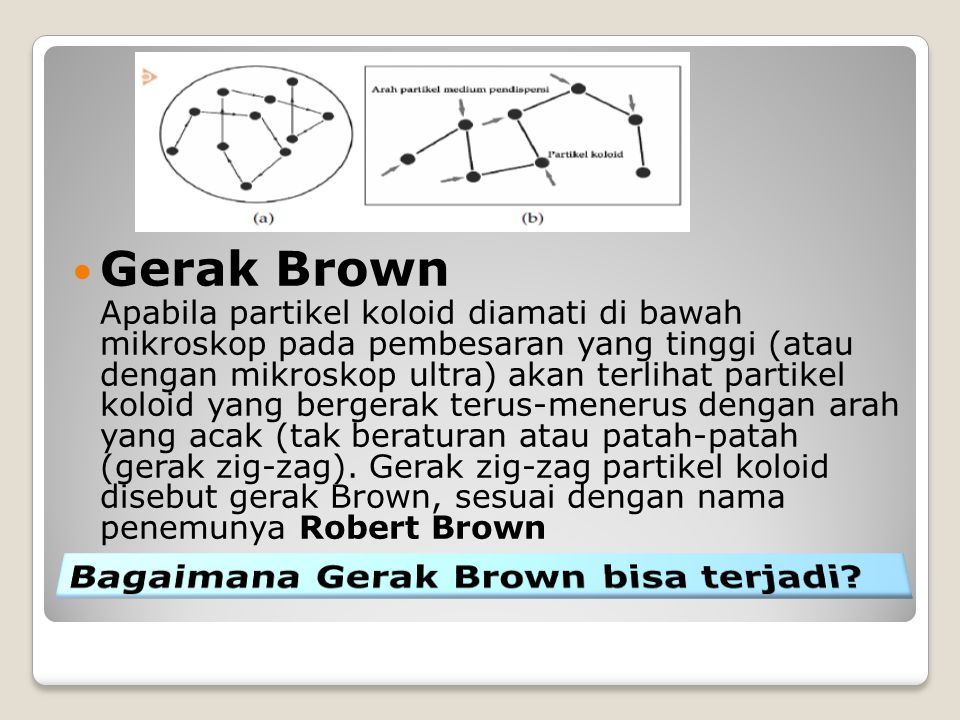 Detail Contoh Gerak Brown Nomer 23