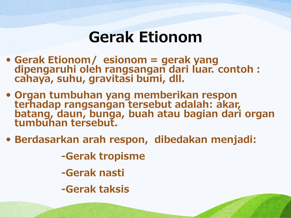 Detail Contoh Gerak Endonom Pada Tumbuhan Nomer 49