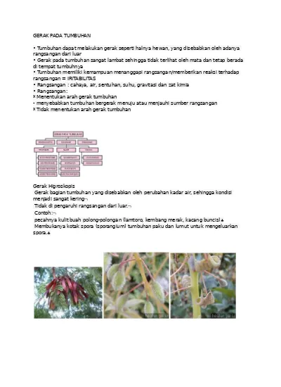 Detail Contoh Gerak Esionom Nomer 46