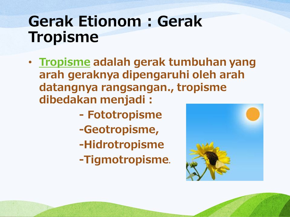 Detail Contoh Gerak Etionom Nomer 10